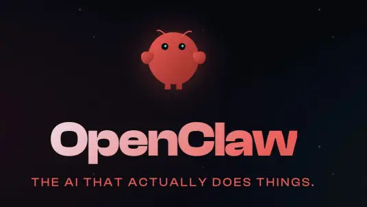 OpenClawd / 1年海外云